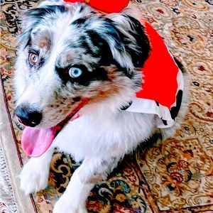 Meet your Posher, Rena